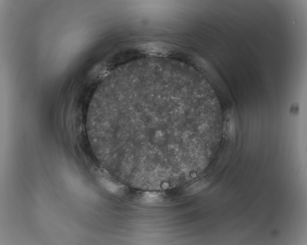 X0000112360573200909101300
