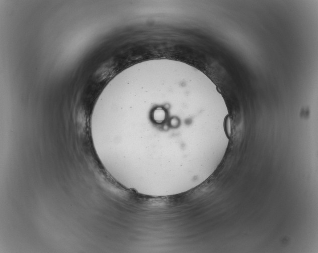 X0000112360574200909101300