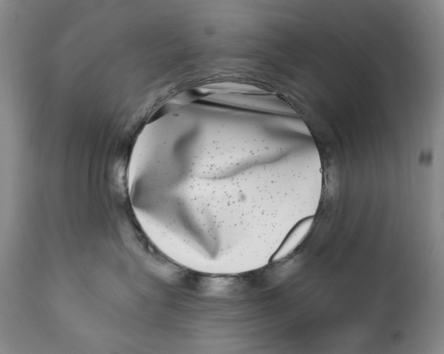 X0000112360575200909101300
