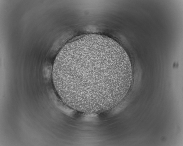 X0000112360576200909101300