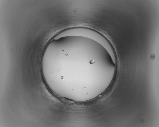 X0000112360577200909101259