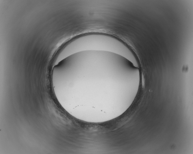 X0000112360579200909101259