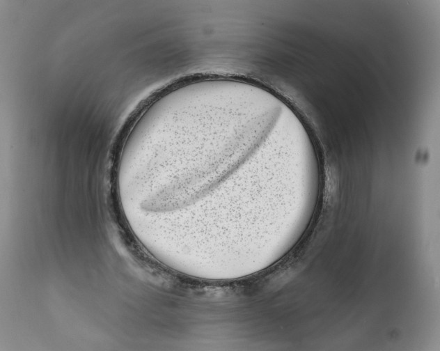 X0000112360580200909101259