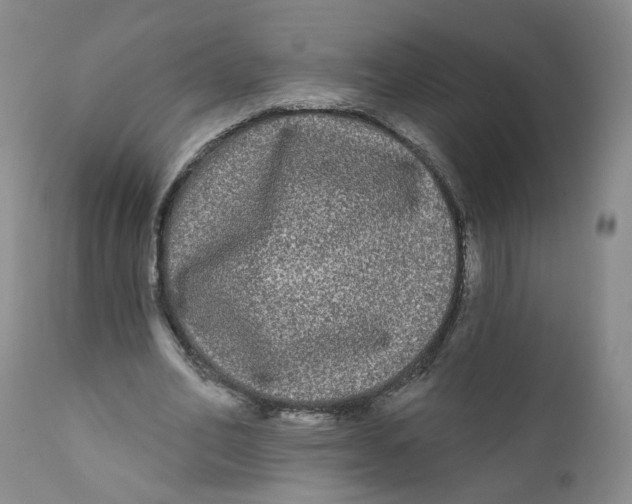 X0000112360582200909101259