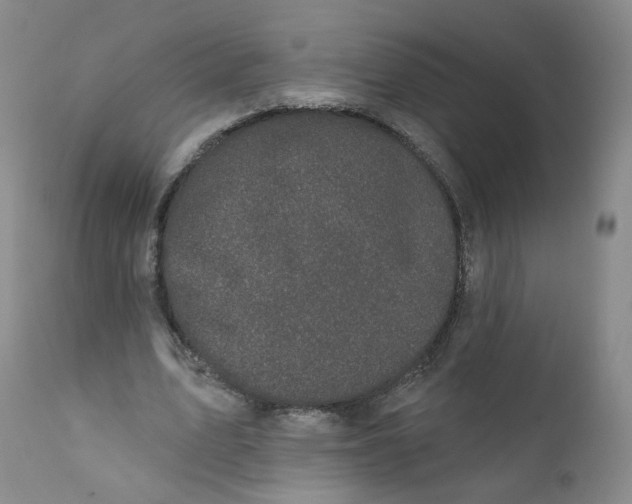 X0000112360583200909101259