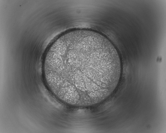 X0000112360584200909101259