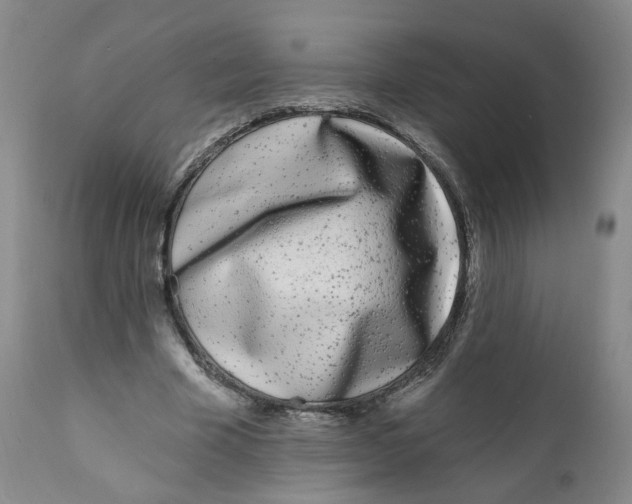 X0000112360585200909101259