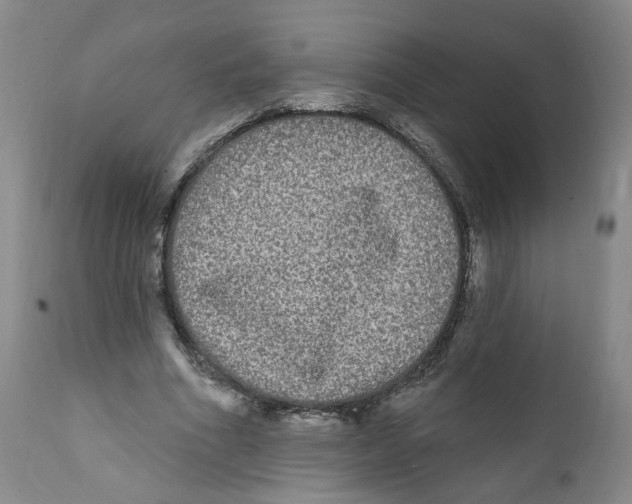 X0000112360586200909101259