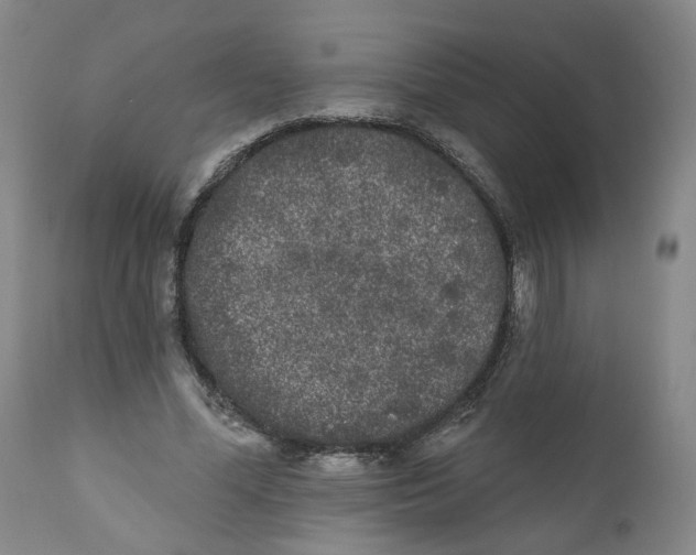 X0000112360588200909101259