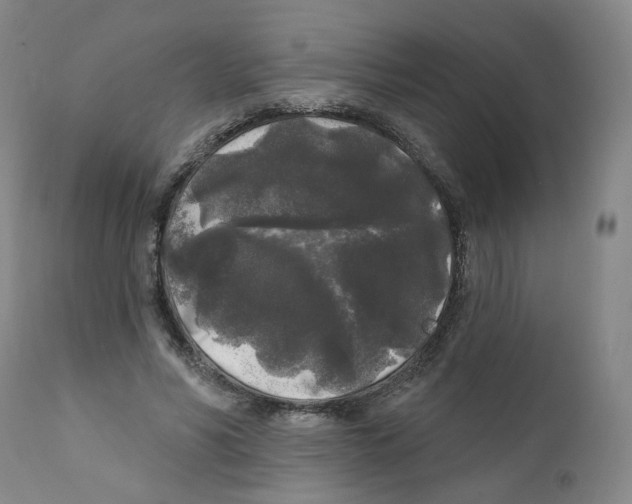 X0000112360590200909101259