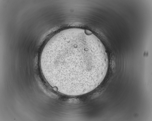 X0000112360591200909101259