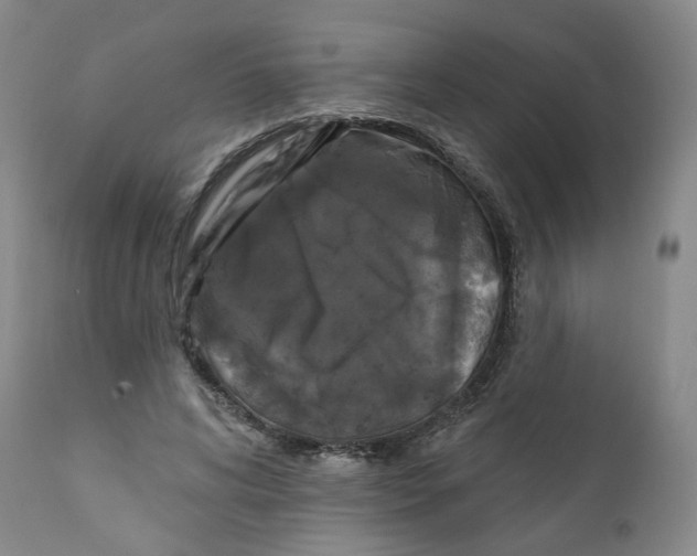 X0000112360592200909101259