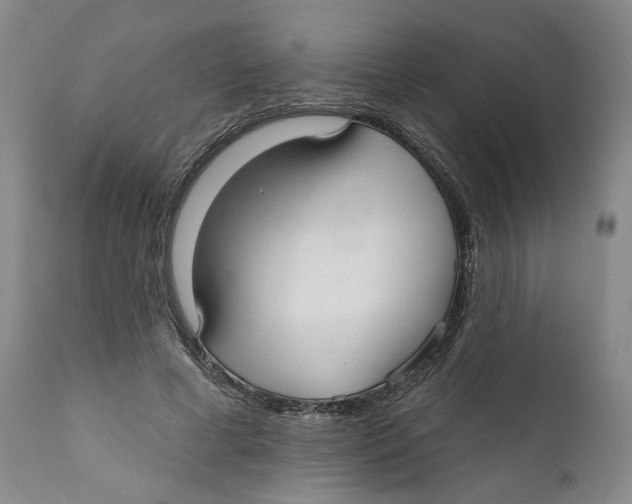 X0000112360593200909101259