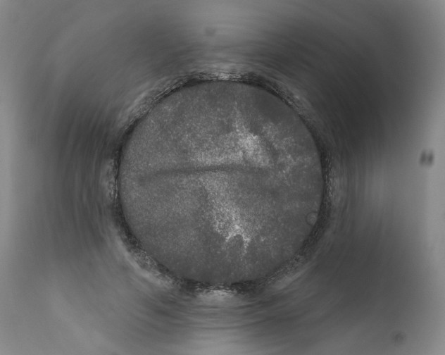X0000112360594200909101259