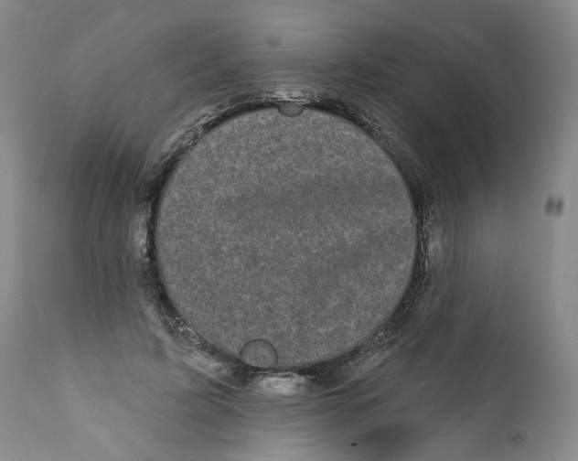X0000112360595200909101259