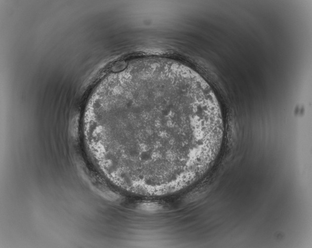 X0000112360596200909101259
