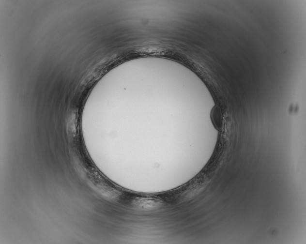 X0000112360597200909101259