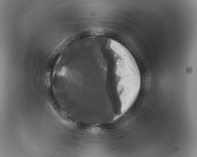 X0000112360598200909101259
