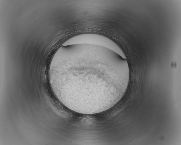 X0000112360599200909101258
