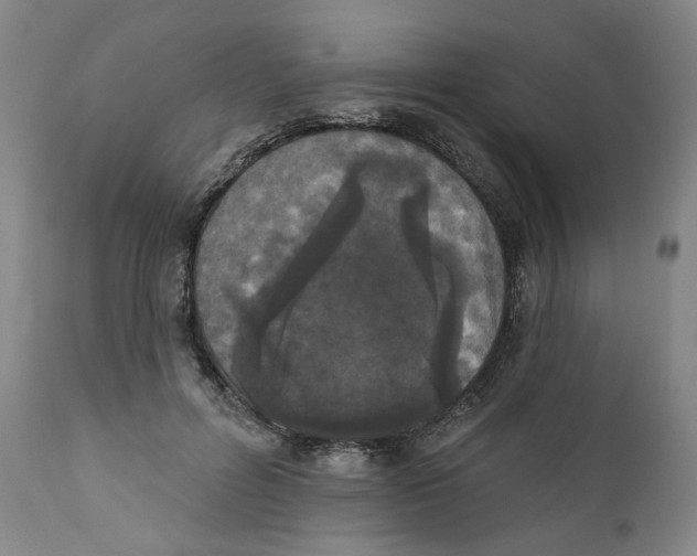 X0000112360600200909101258