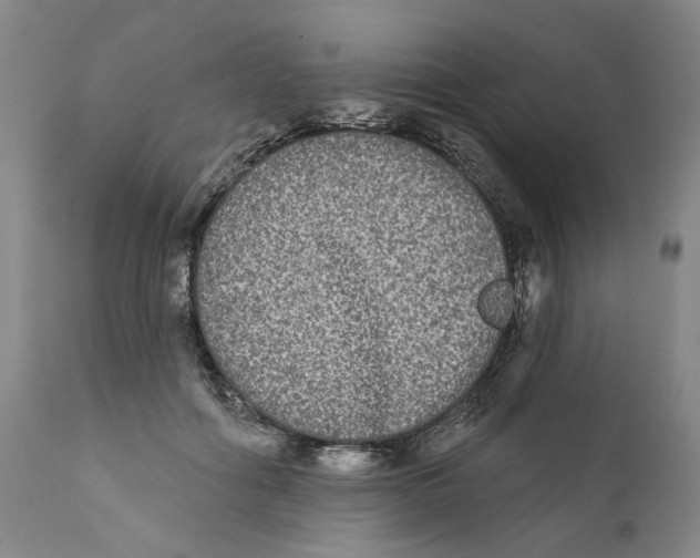 X0000112360602200909101258
