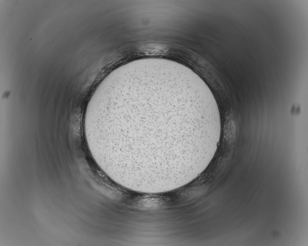 X0000112360604200909101258