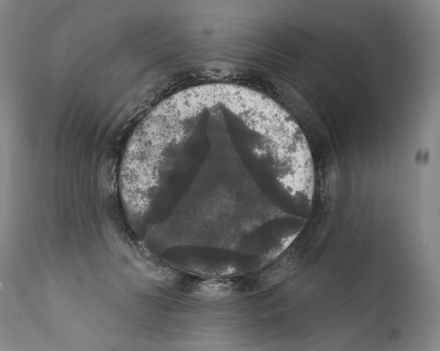 X0000112360606200909101258
