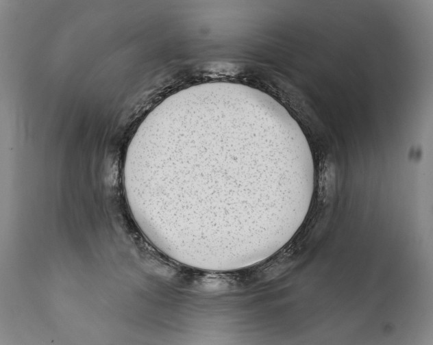 X0000112360608200909101258
