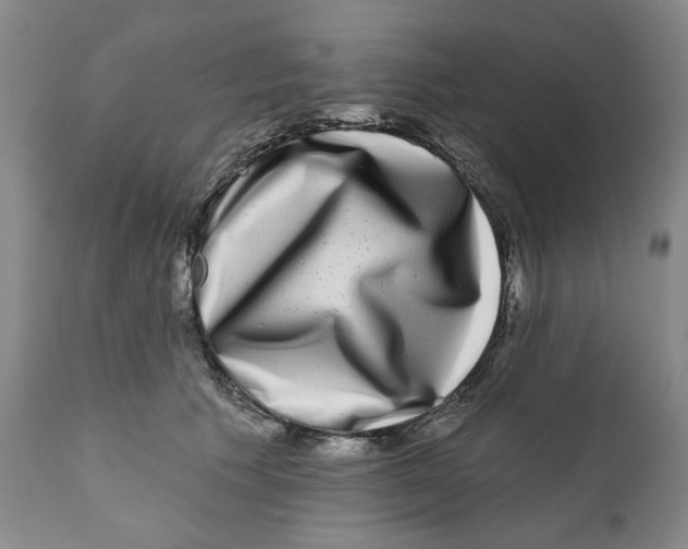 X0000112360609200909101258