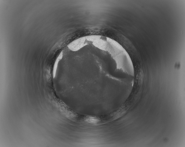 X0000112360610200909101258