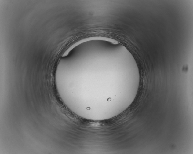 X0000112360611200909101258