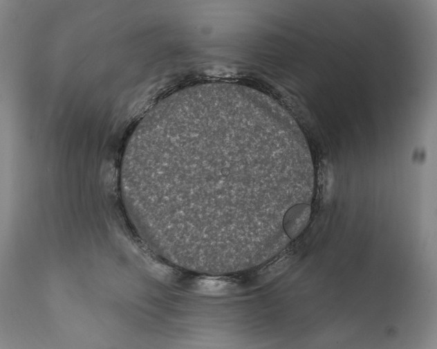 X0000112360614200909101258