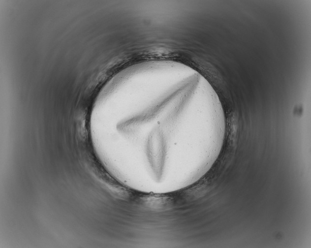 X0000112360615200909101258