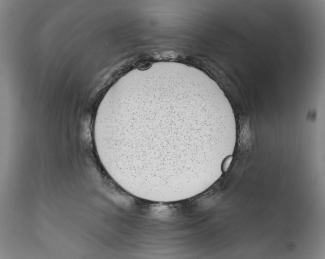 X0000112360616200909101258