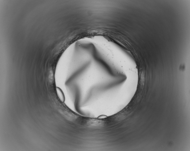 X0000112360617200909101258