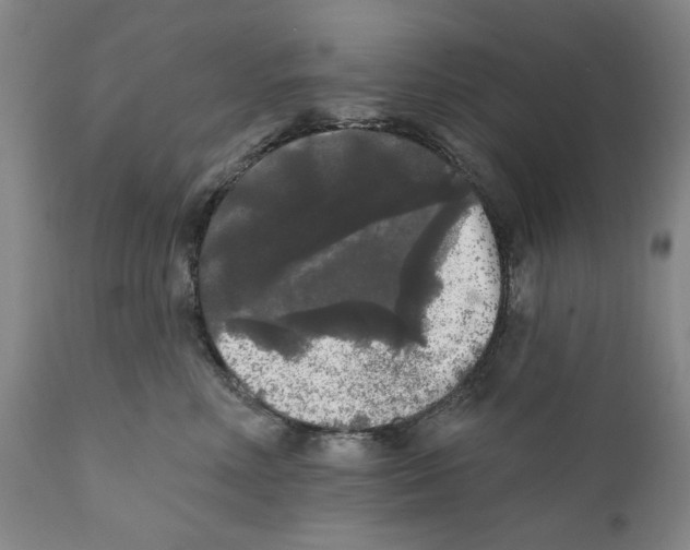 X0000112360618200909101258