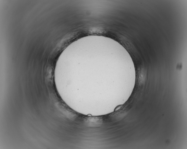 X0000112360619200909101258