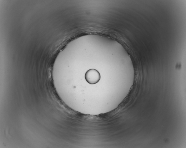 X0000112360621200909101258