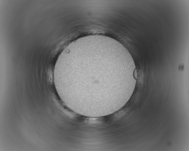 X0000112360622200909101258