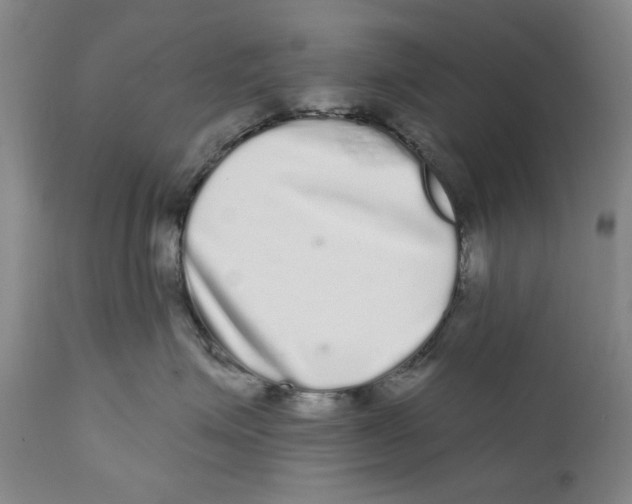 X0000112360623200909101258