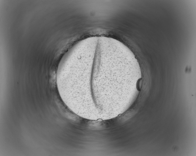 X0000112360624200909101258