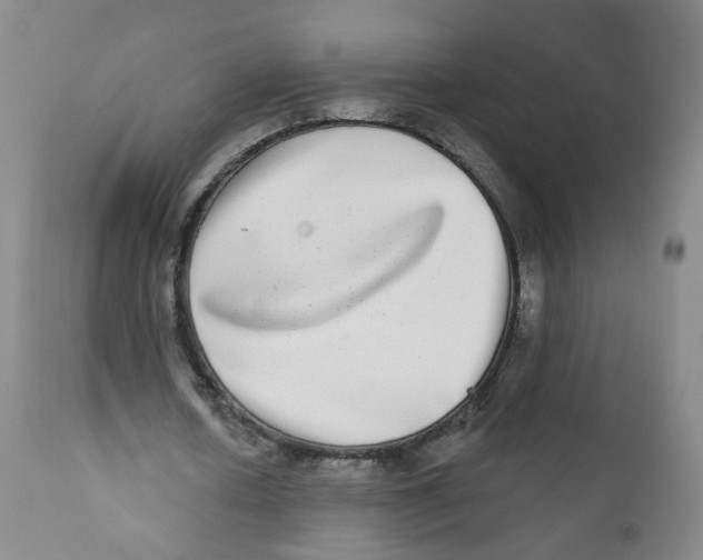 X0000112360626200909101258