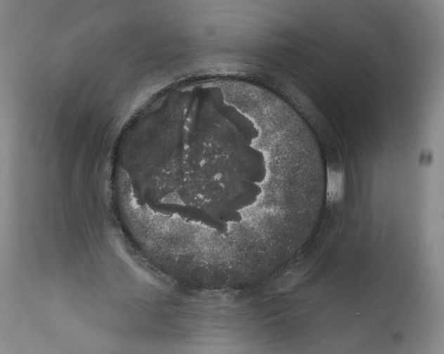 X0000112360627200909101258