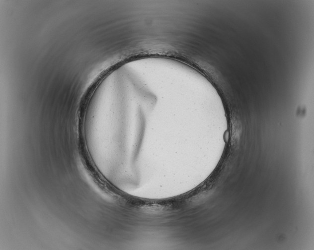 X0000112360630200909101258