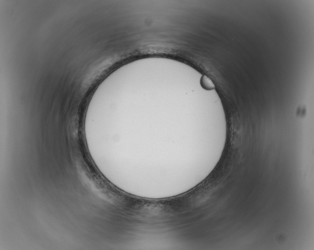 X0000112360631200909101258