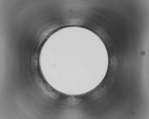 X0000112360632200909101258