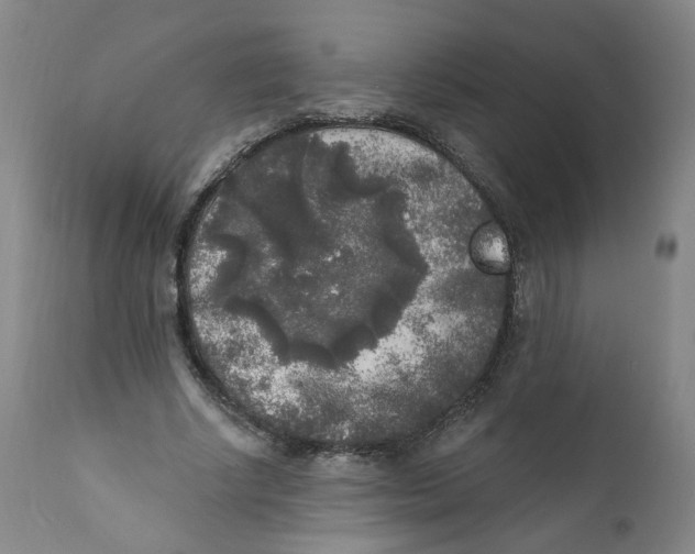 X0000112360634200909101258