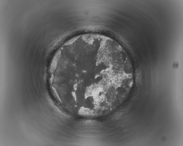 X0000112360637200909101258
