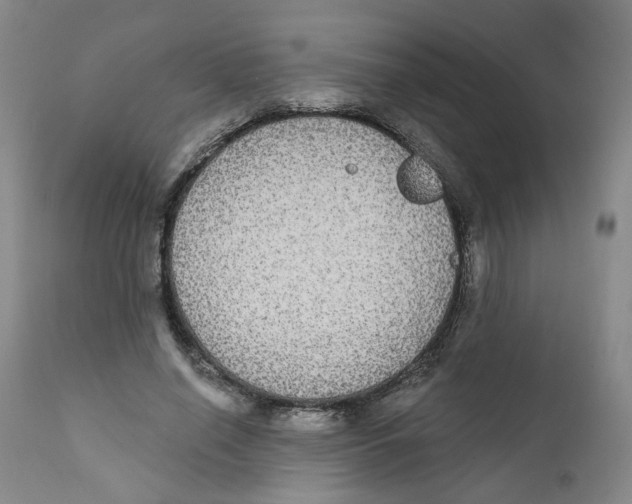 X0000112360638200909101258