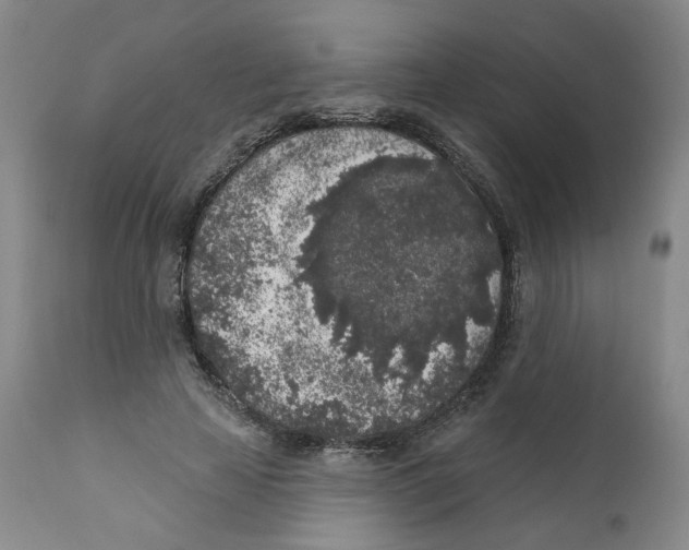 X0000112360641200909101258